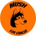 Musher for cancer
